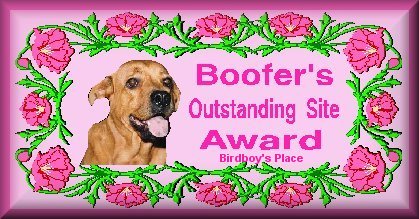 award_boofer.jpg