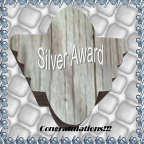 Silver Award!